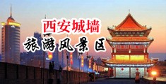 嗯啊啊啊鸡巴好大舒服视频中国陕西-西安城墙旅游风景区